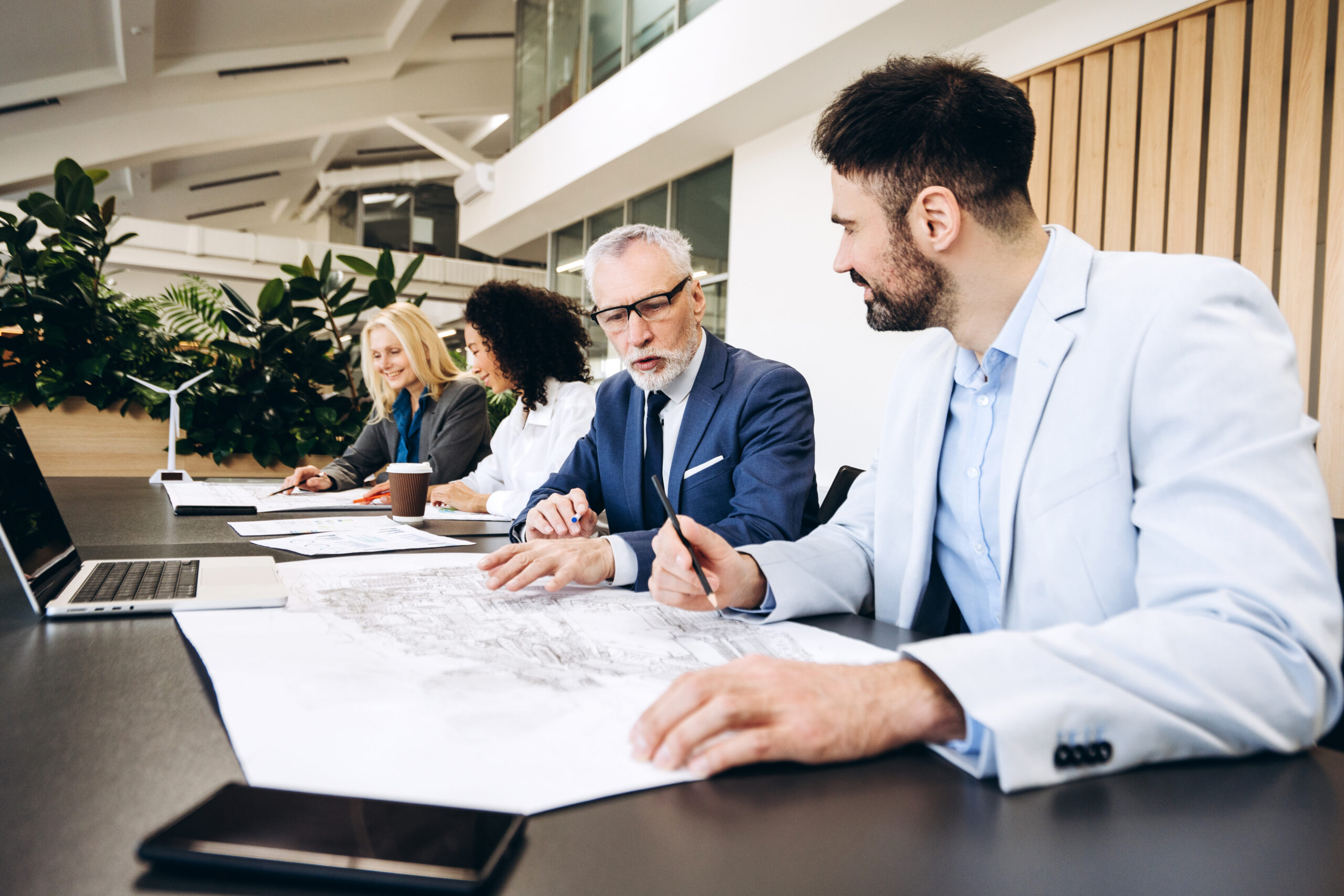Business development consultants planning expansion